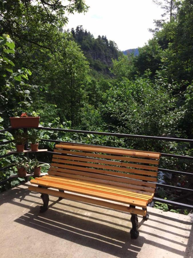 Borjomi Veranda Екстер'єр фото