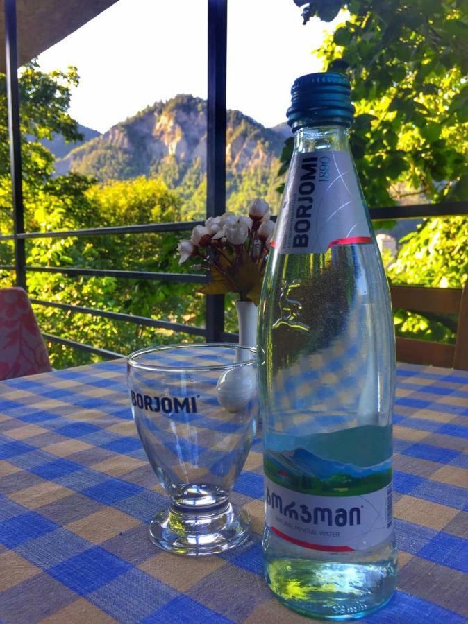 Borjomi Veranda Екстер'єр фото